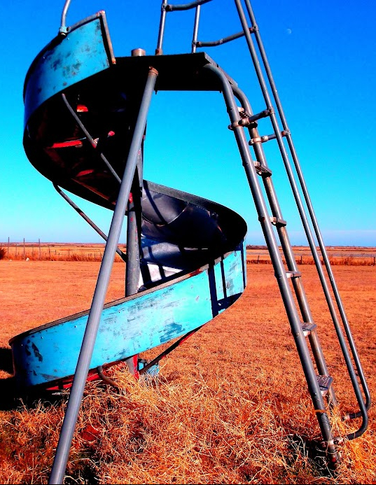 Social Science & Our Critical Times