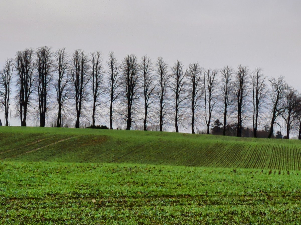 Excerpt #2: General Theory of Attrition – Reclaiming A Relational Theory of Subjectivity under&nbsp;Attrition